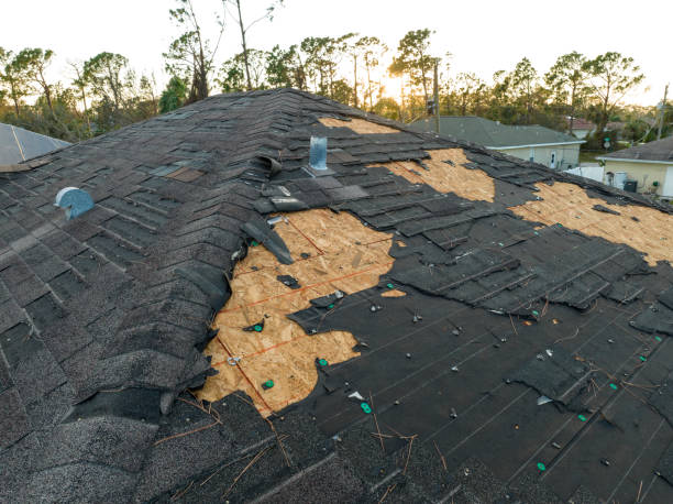 Best Roof Leak Repair  in Churubusco, IN