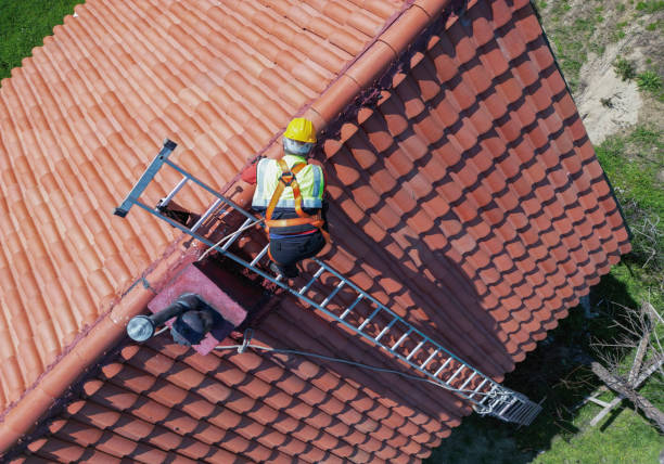 Best Asphalt Shingle Roofing  in Churubusco, IN